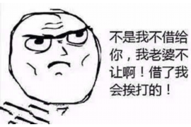 新河债务清欠服务